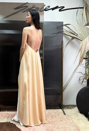 Aigner Dress