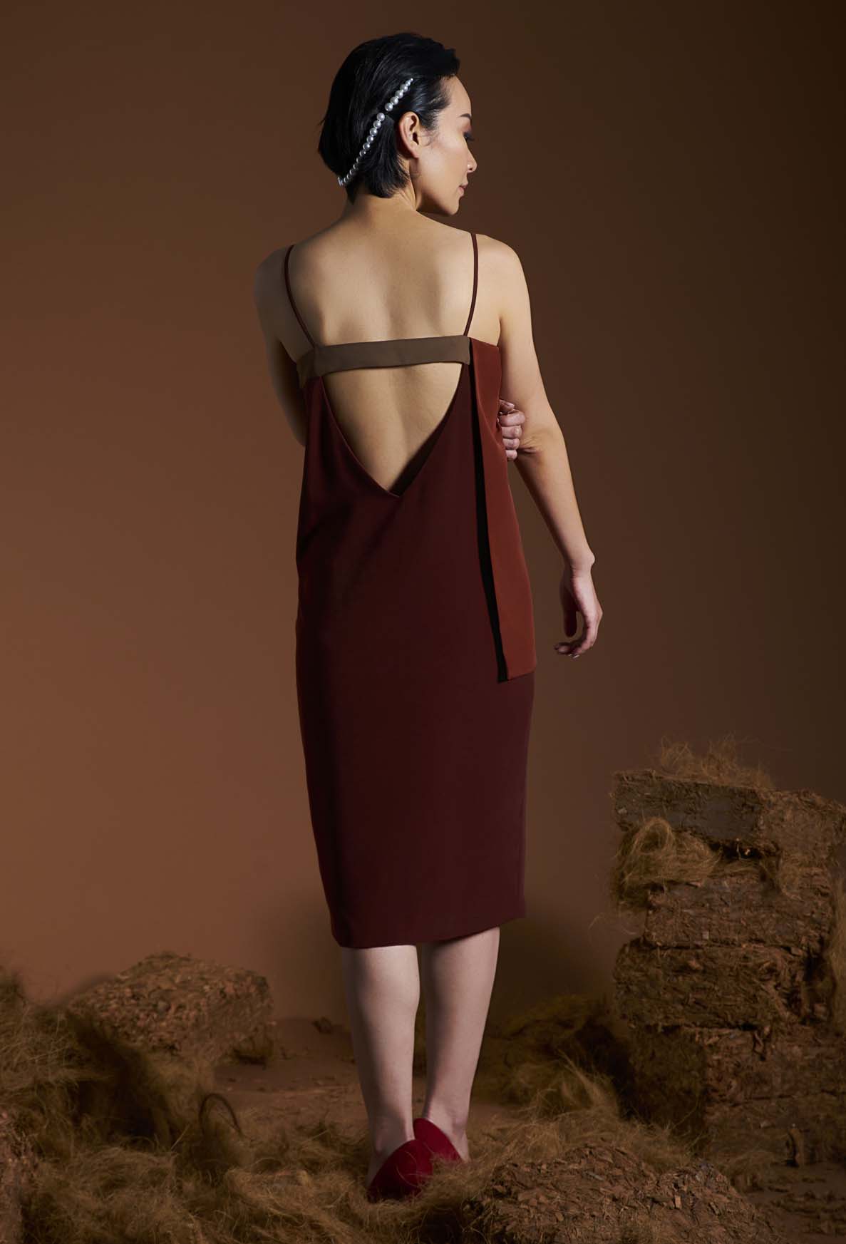 Nakay Dress