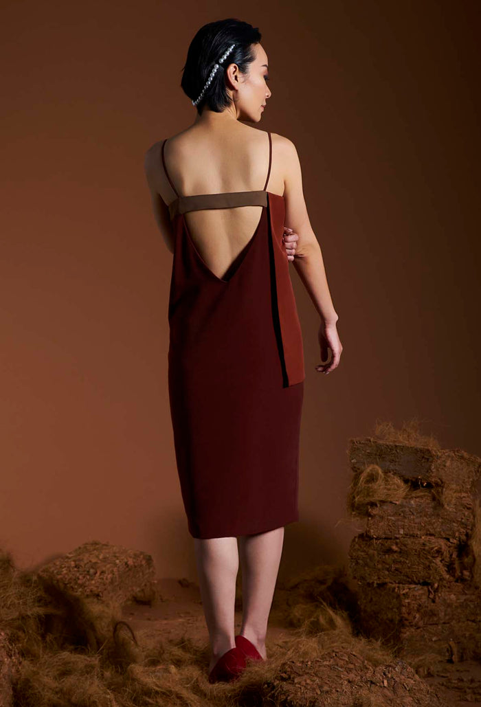 Nakay Dress
